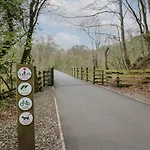 Beech Timber