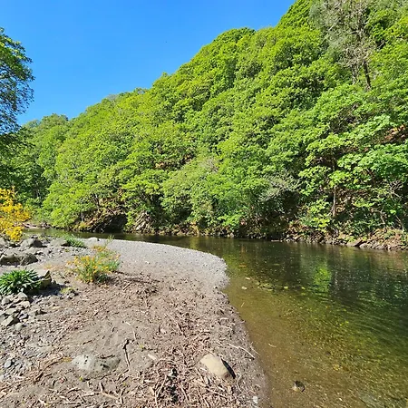 Beech Timber * كيسويك