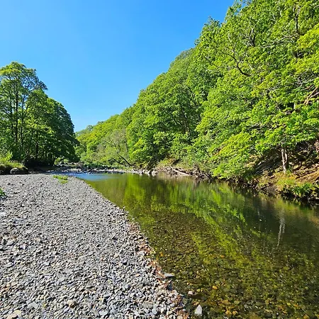 Beech Timber * كيسويك