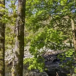 Hébergement de vacances Beech Timber Keswick (Cumbria)