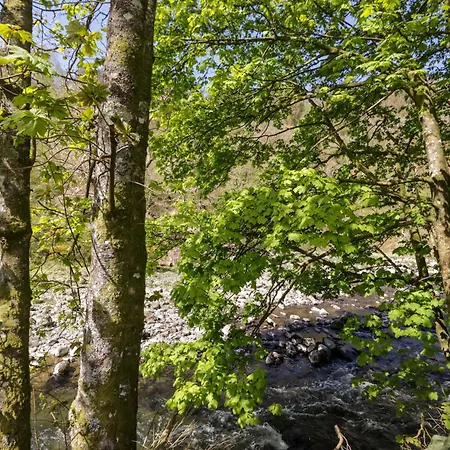 Feriehus Beech Timber Keswick (Cumbria)