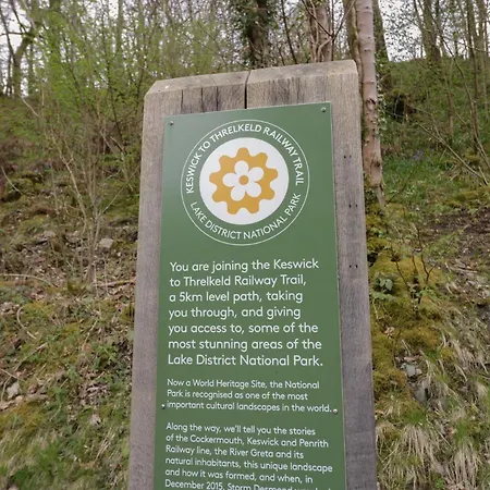 Beech Timber * 凯西克