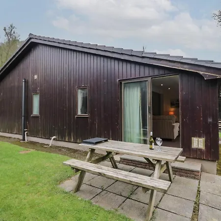 Beech Timber 凯西克