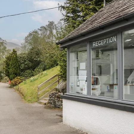 Beech Timber * 凯西克