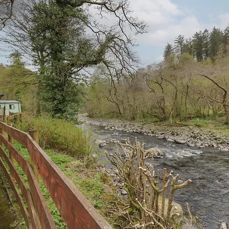 Beech Timber * 凯西克