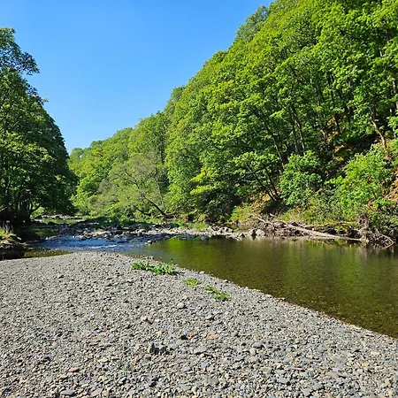 Beech Timber 凯西克